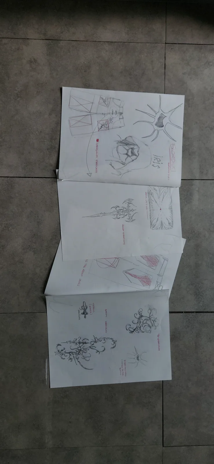 Développement graphique du jean Amosia
