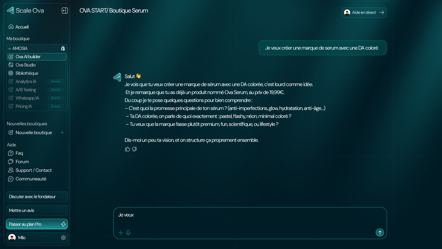 Maquette de la première conversation avec l’assistant Scale OVA